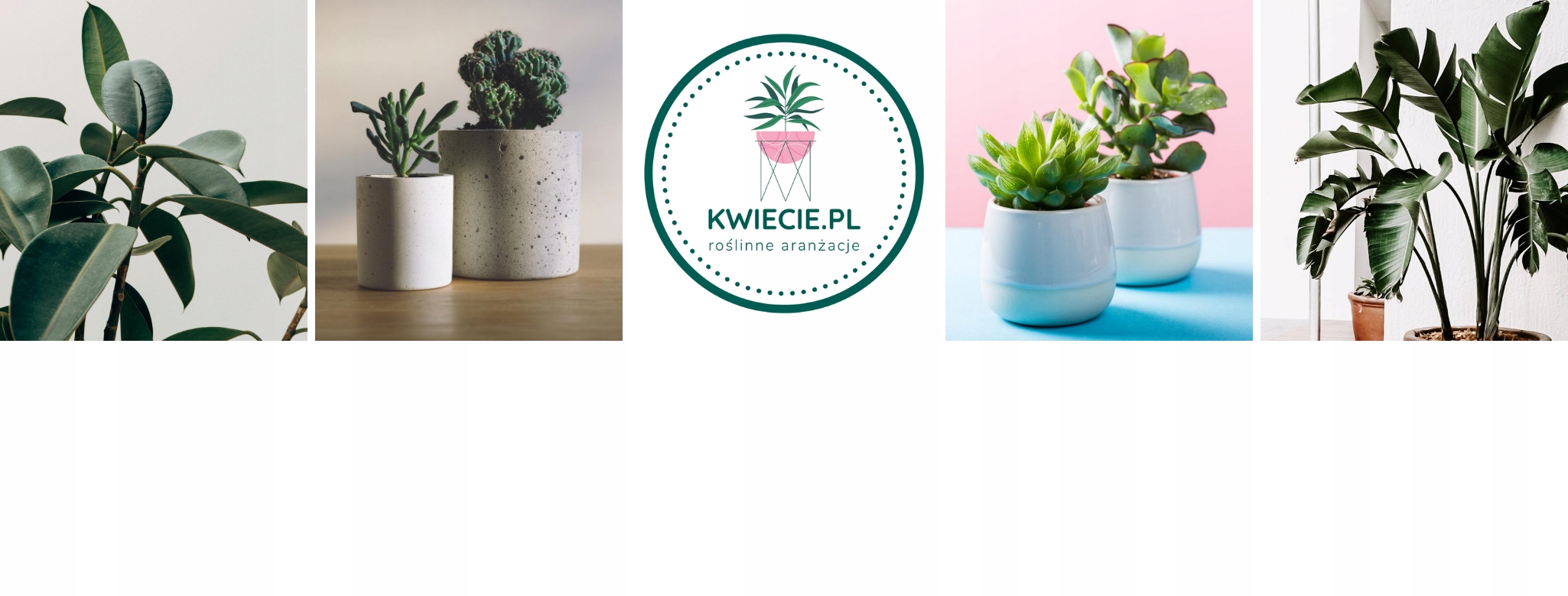 Osłonka CERAMICZNA Doniczka Turkus Oliwka 13 cm Wysokość produktu 13 cm