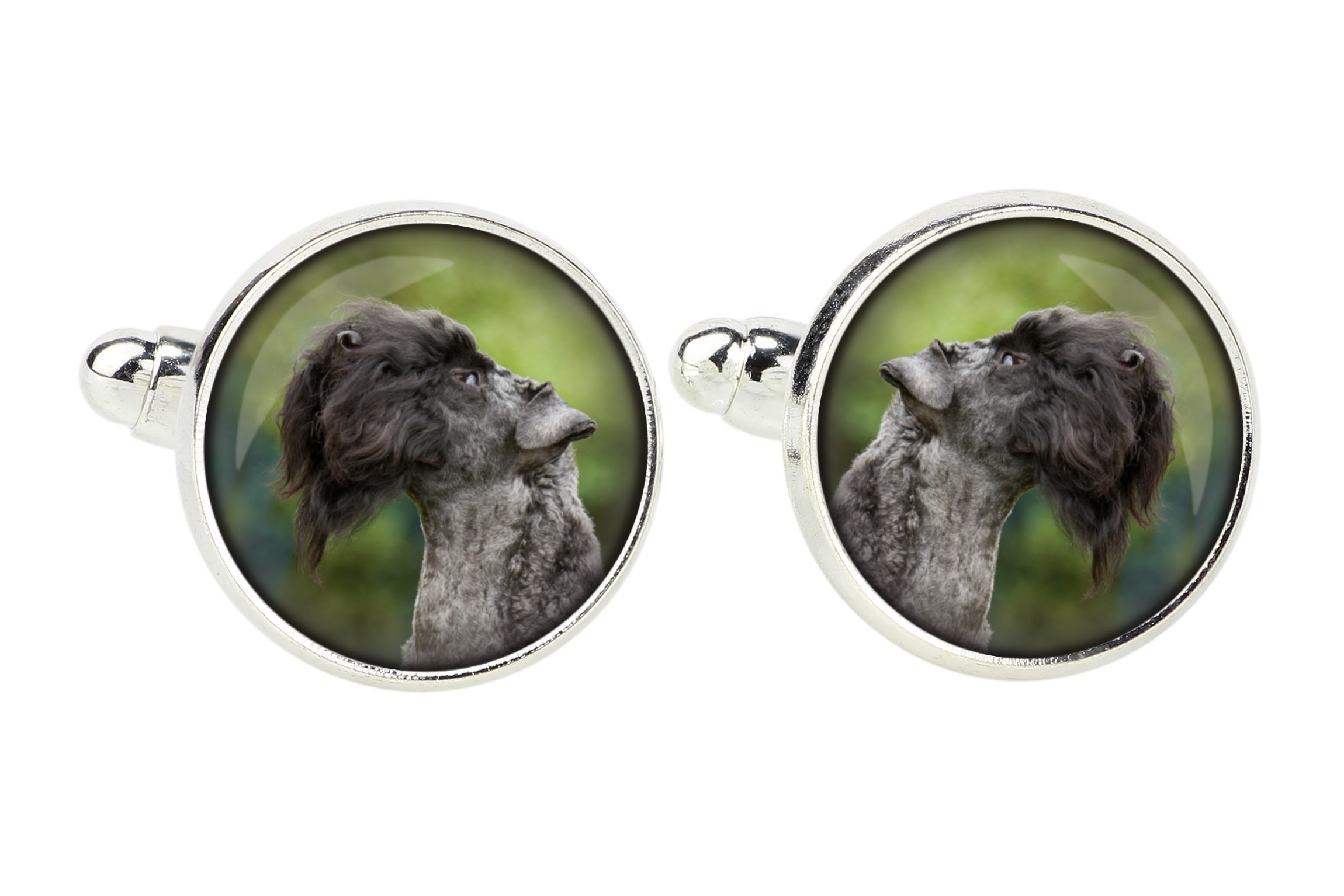 

Kerry Blue Terrier Spinki do mankietów ze zdjęciem