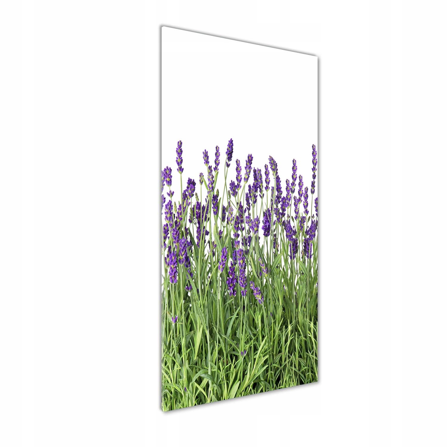 

Nowoczesny fotoobraz akrylowy Pole lawendy 50x125