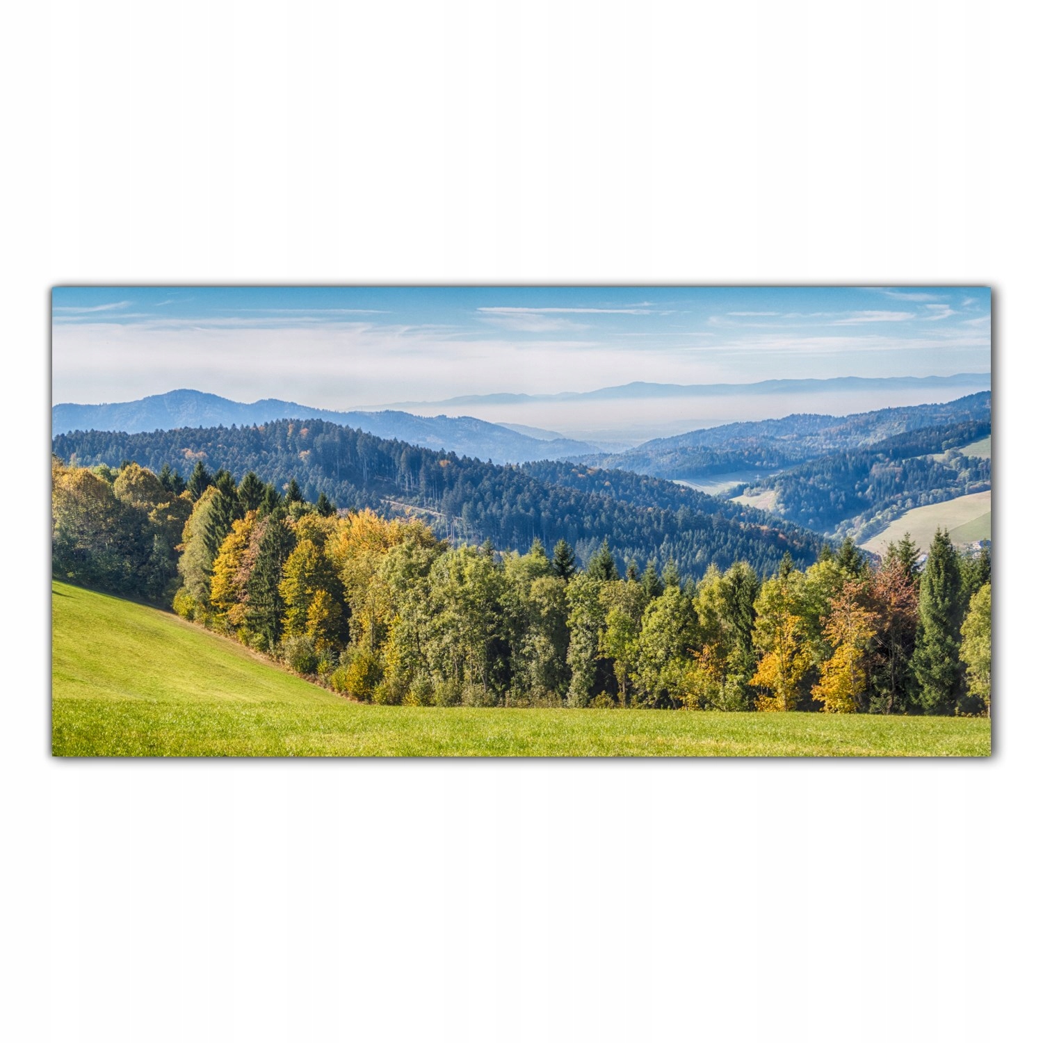 

Obraz Szklany Foto-obraz Las Góry Natura 140x70