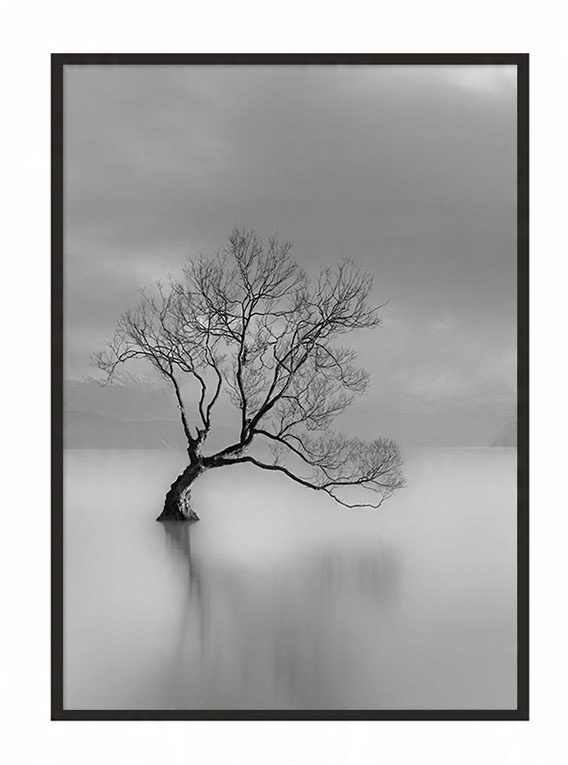

Obraz Plakat W Ramie 53x73 cm Drzewo P638