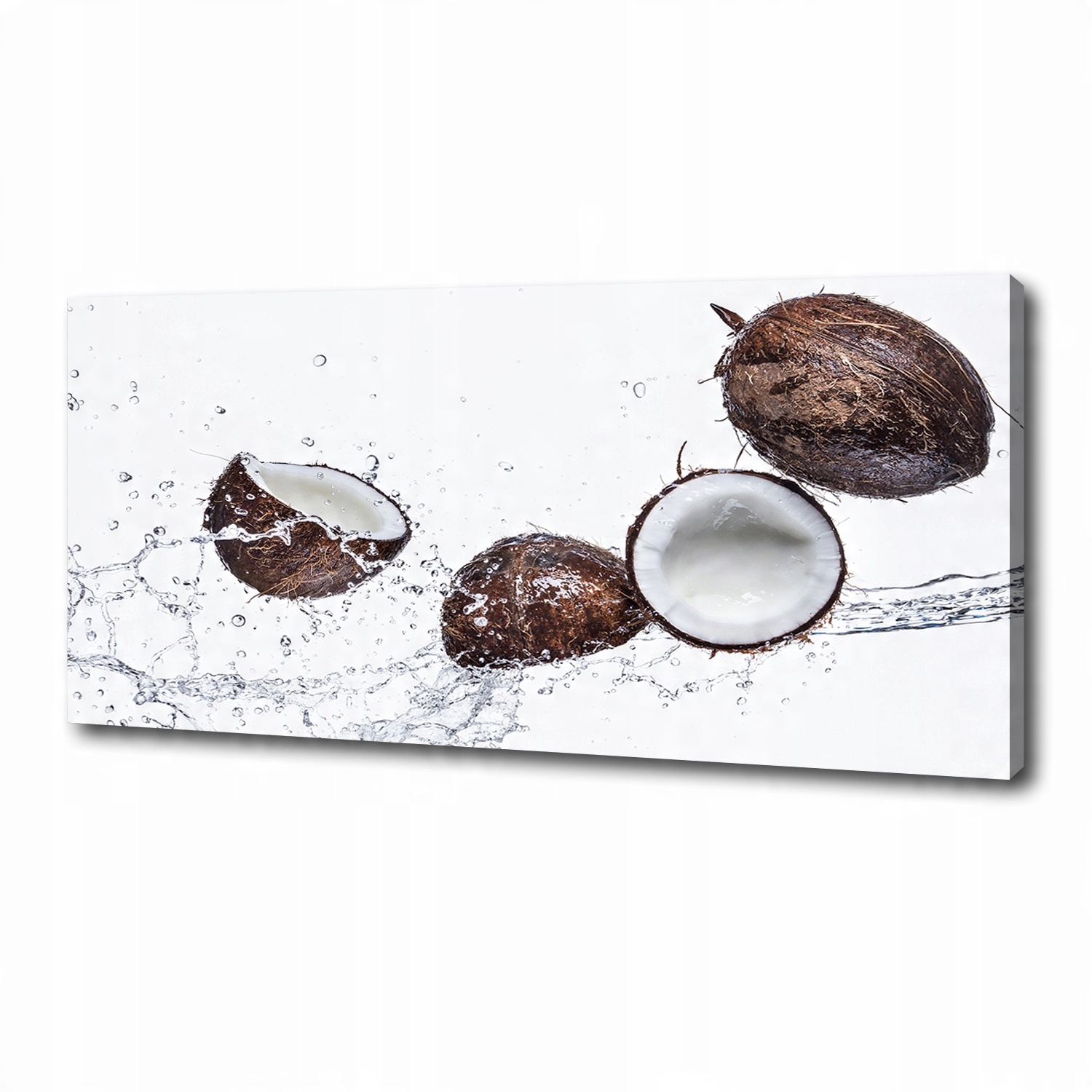 

Foto obraz duży na płótnie Kokos z wodą 125x50 cm
