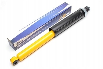 EVOSTRE01H - Спортивные амортизаторы задние Renault 19