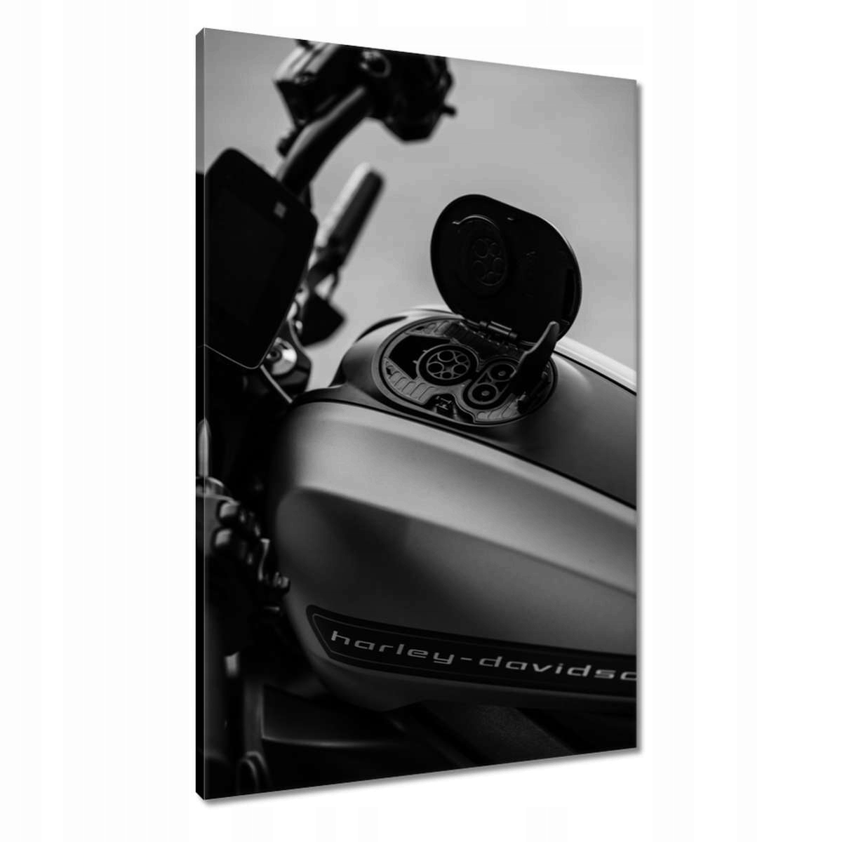 Obrazy 60x90 Harley Davidson Motocykl