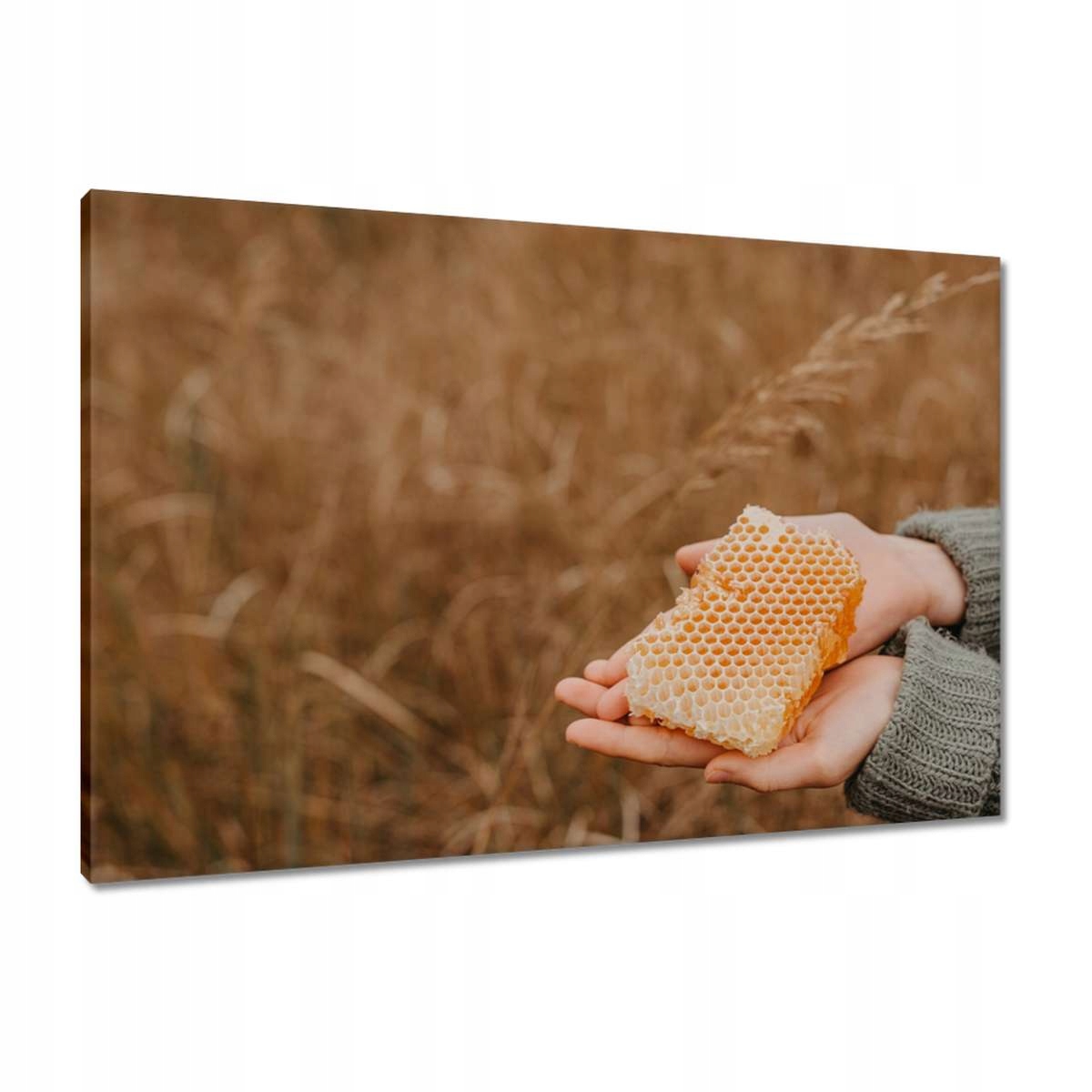 Obrazy 90x60 Med Včelařství