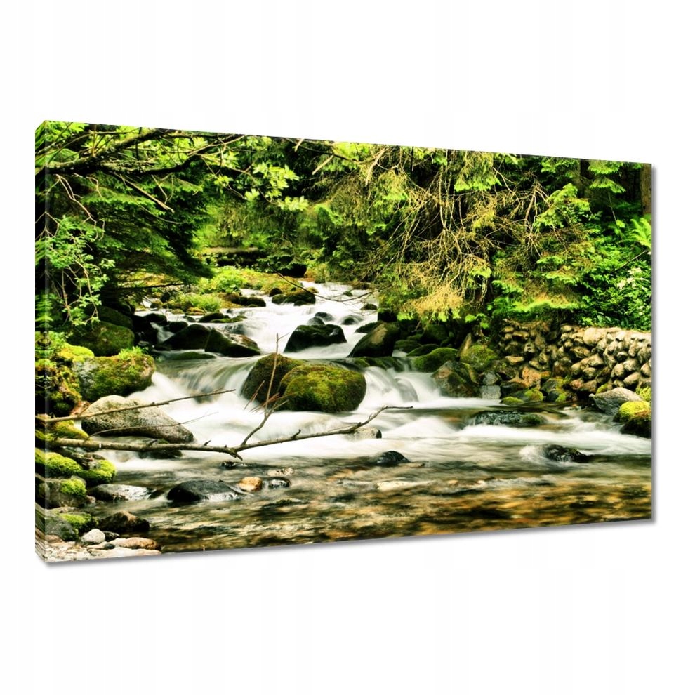 

Obrazy 90x60 Rzeczka w Tatrach