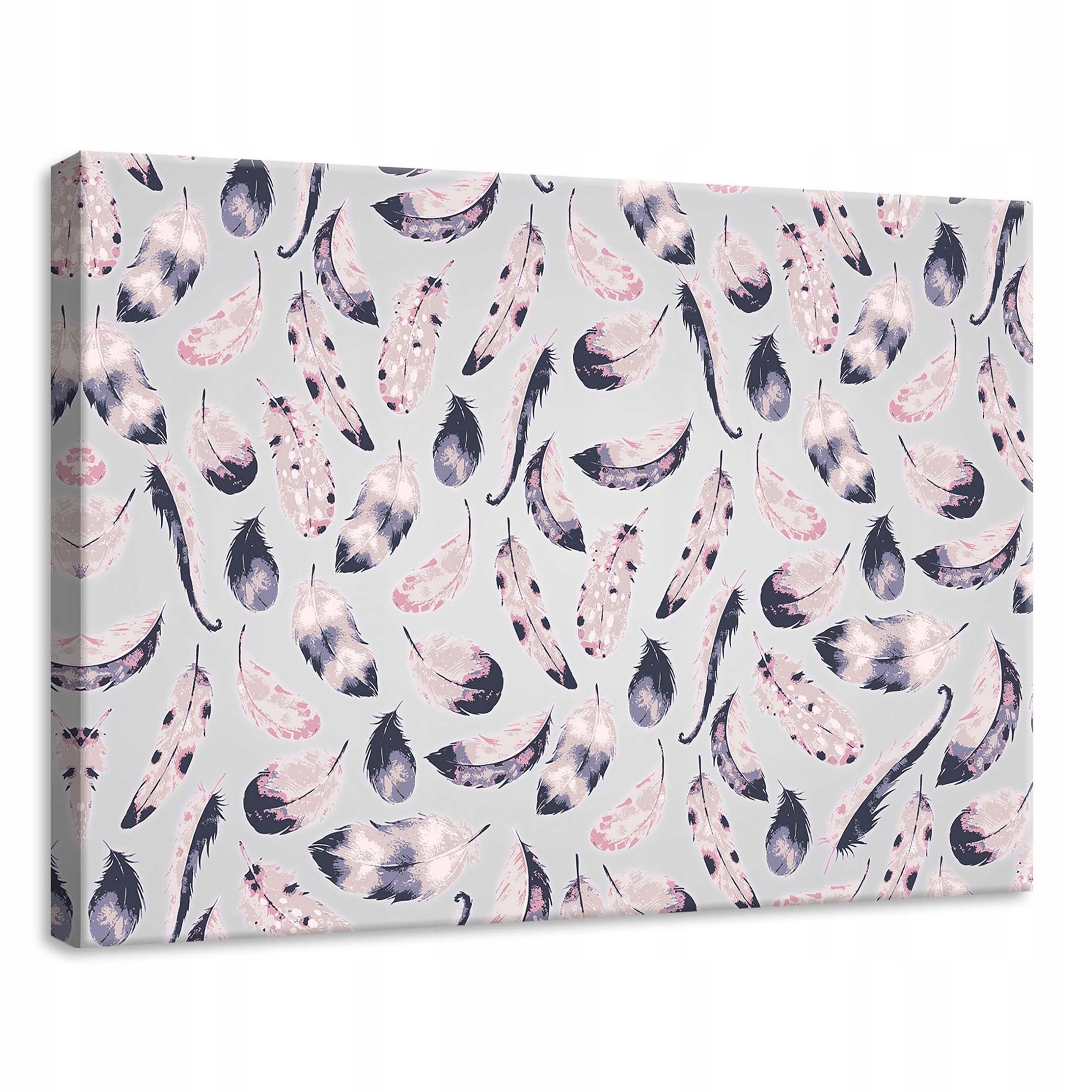 Obraz 70x50 Pera lehkost jemnost vzor klid elegance měkkost