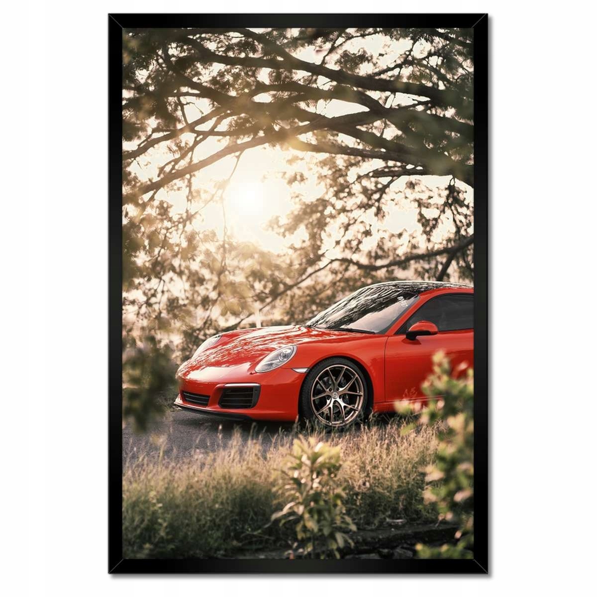 Plakáty v rámu 40x60 Auto Fura Sport