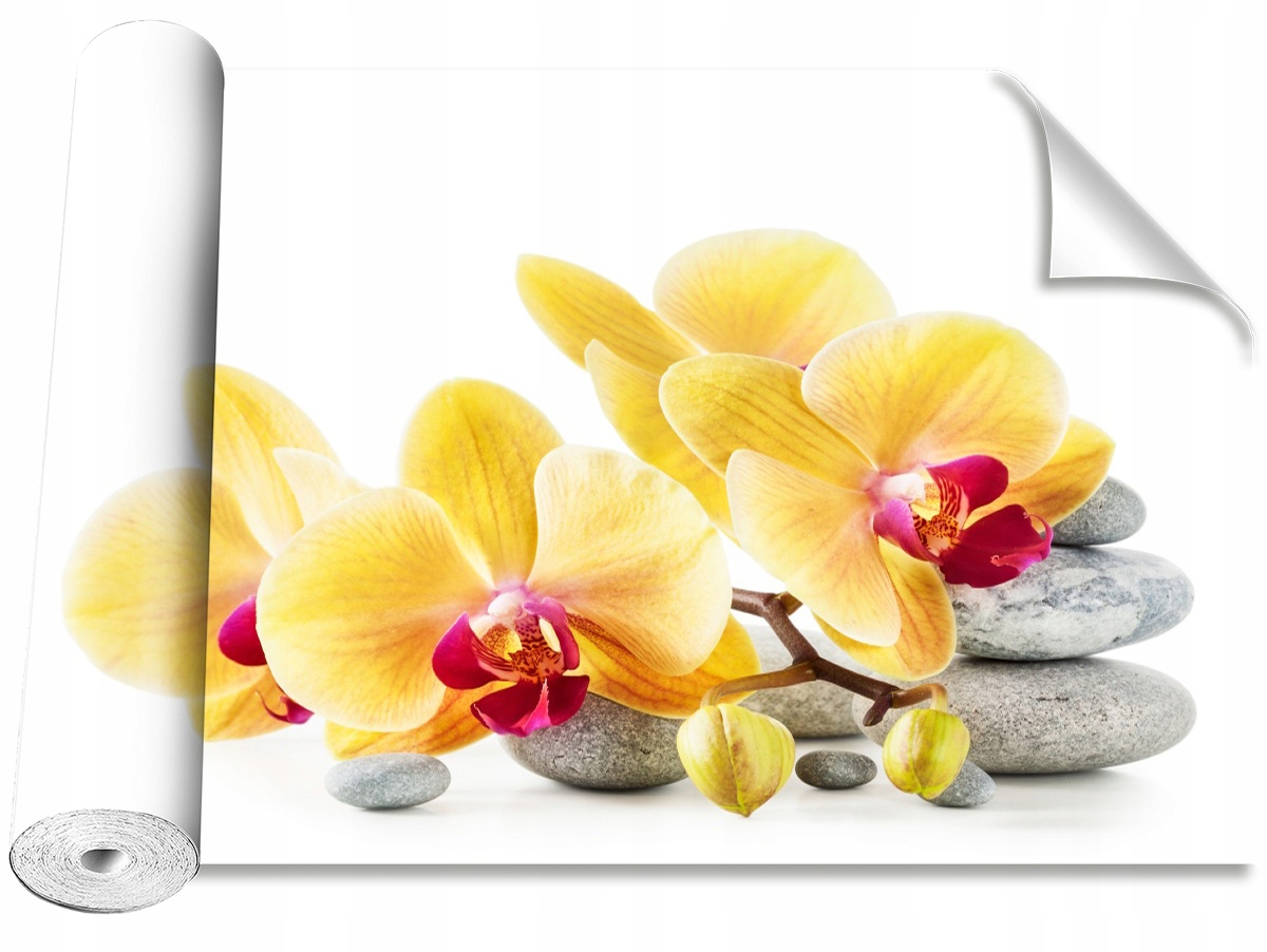 

Tapeta Samoprzylepna Orchidea Żółty 416x254