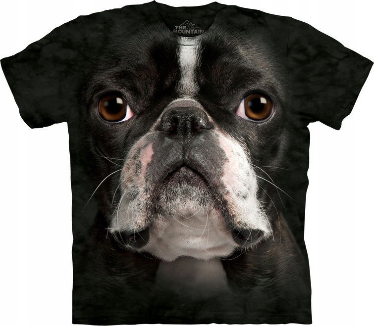 Boston Terrier Obličej The Mountain 3XL