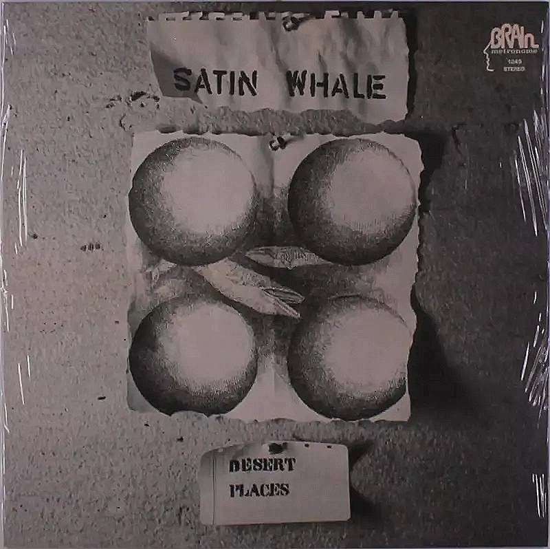 Lp Satin Whale: Desert Places Standard 2024 edition
