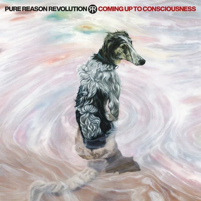 Pure Reason Revolution: Coming Up To Consciousness (Coloured Vinyl) Vinyl
