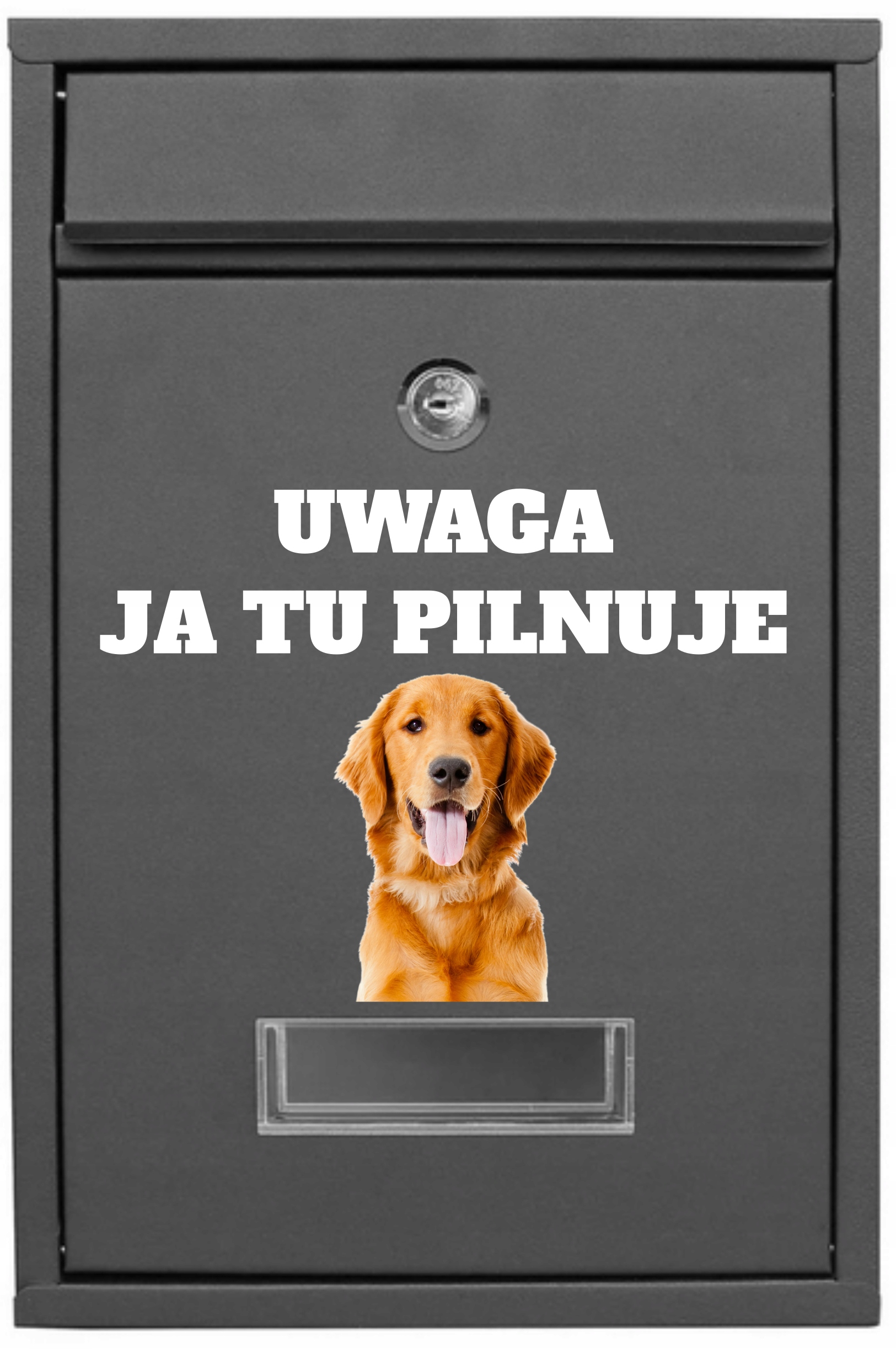 poštovní schránka Poštovní Pozor Já Tu Hlídám Zlatý retrívr