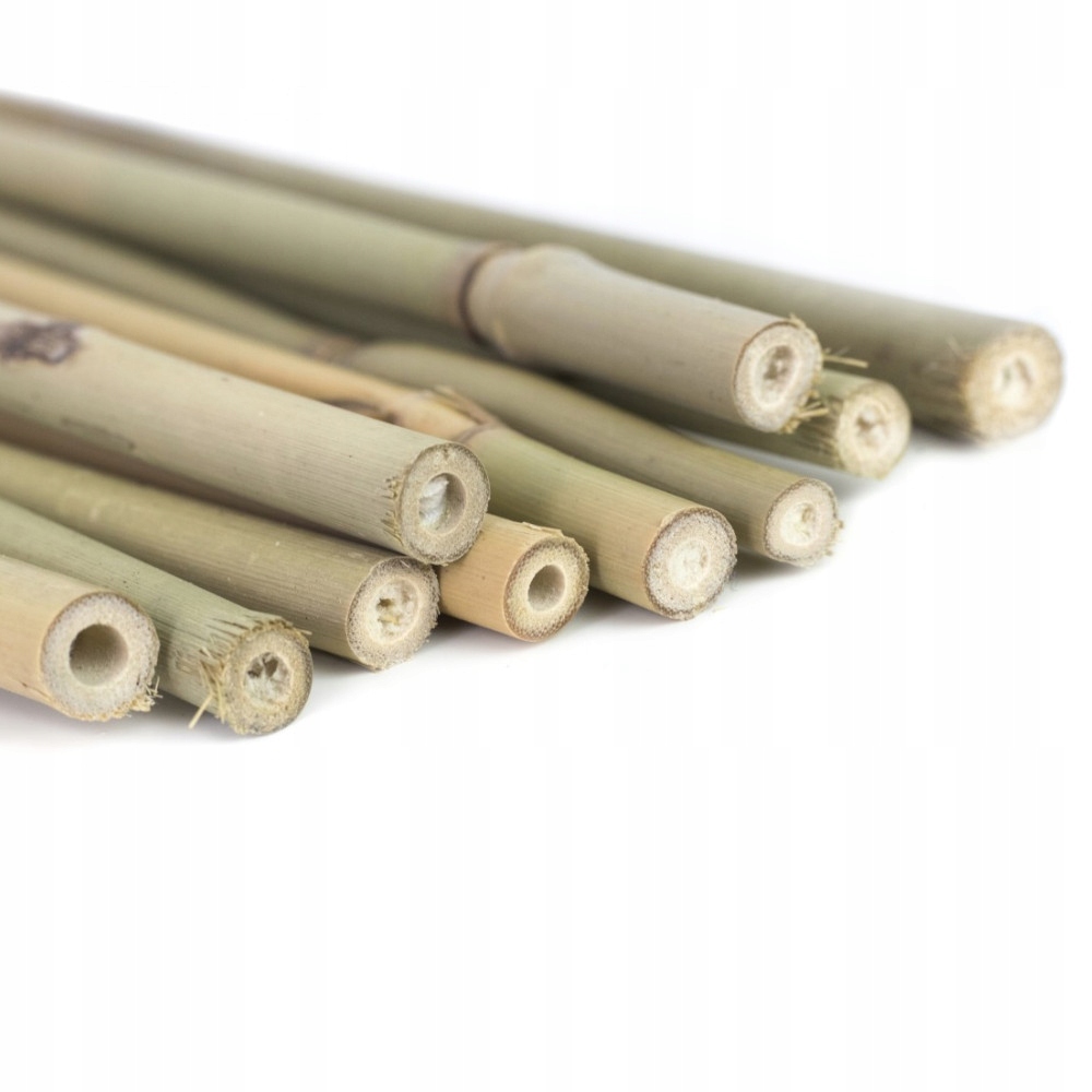 

Tyczki bambusowe 60 cm x 10 sztuk Podpora Roślin