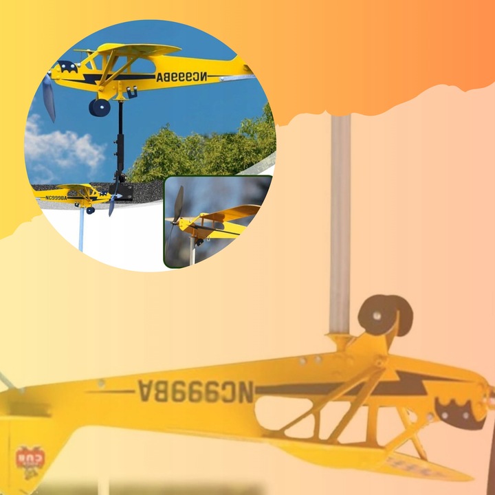 SAMOLOT OGRODOWY DACHOWY WIATROWSKAZ WIATRAK Rodzaj wiatrak