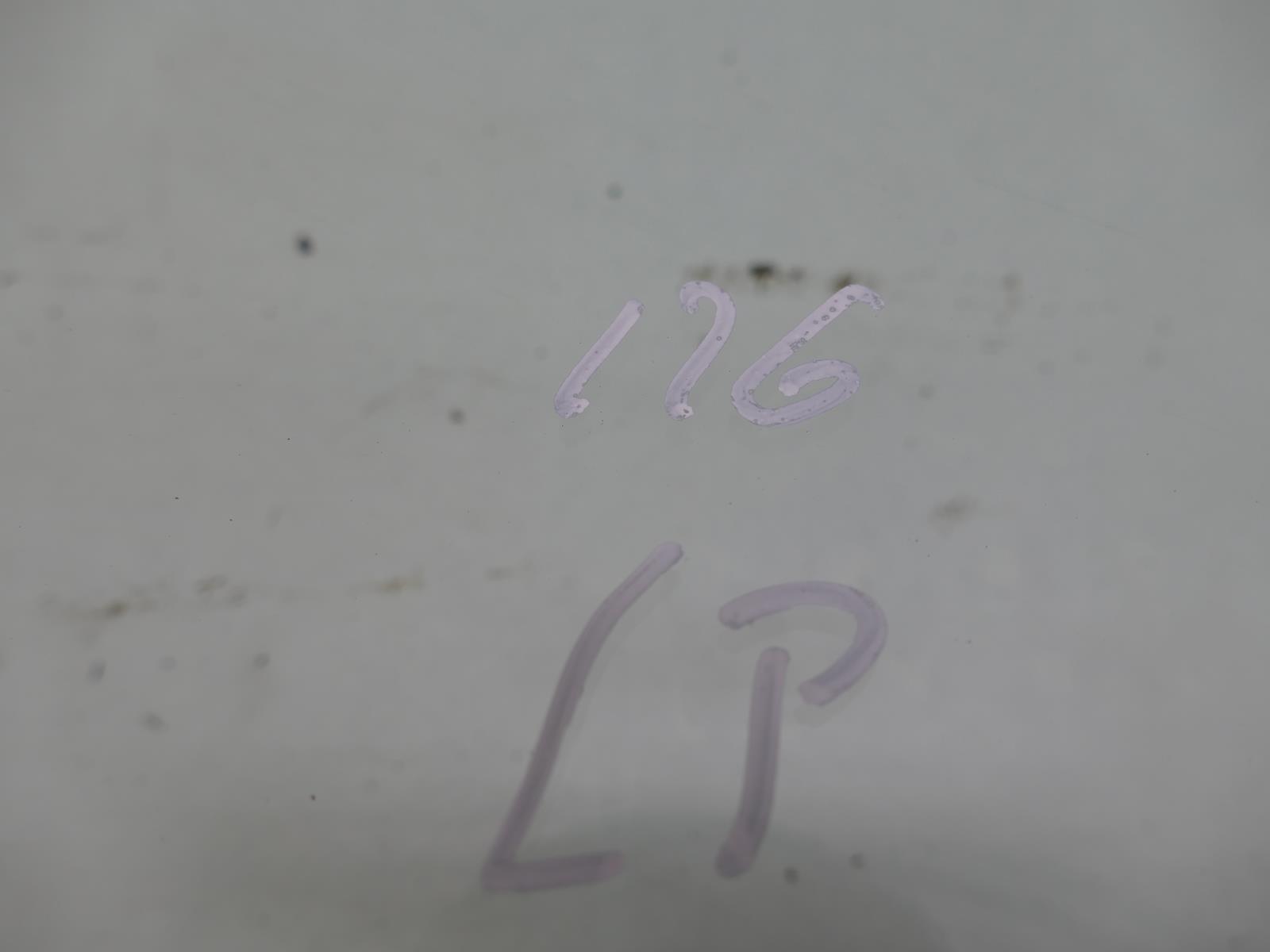 MERCEDES S W126 window door left front front