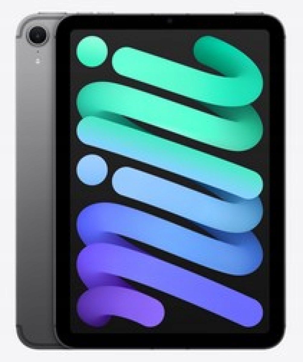 【ぬし】iPad mini 4（Wi-Fi + Cellular ) Ipad Mini 4 Cellular - Niska cena na Allegro