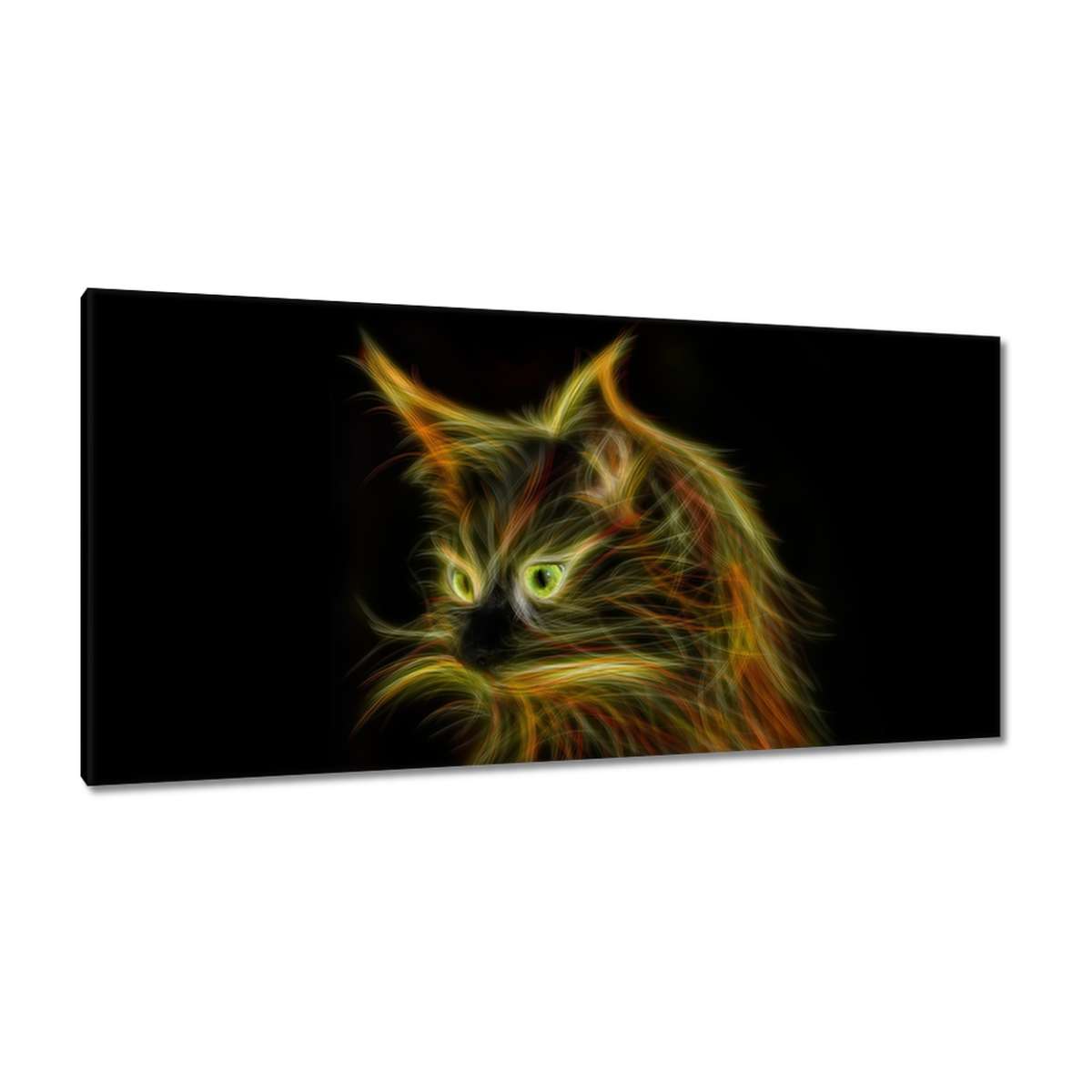 Obrazy 115x55 Nadpozemská kočka