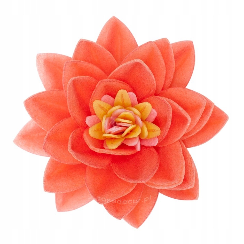 Levně Květ Z Oplatka Lotos MIX 15 ks