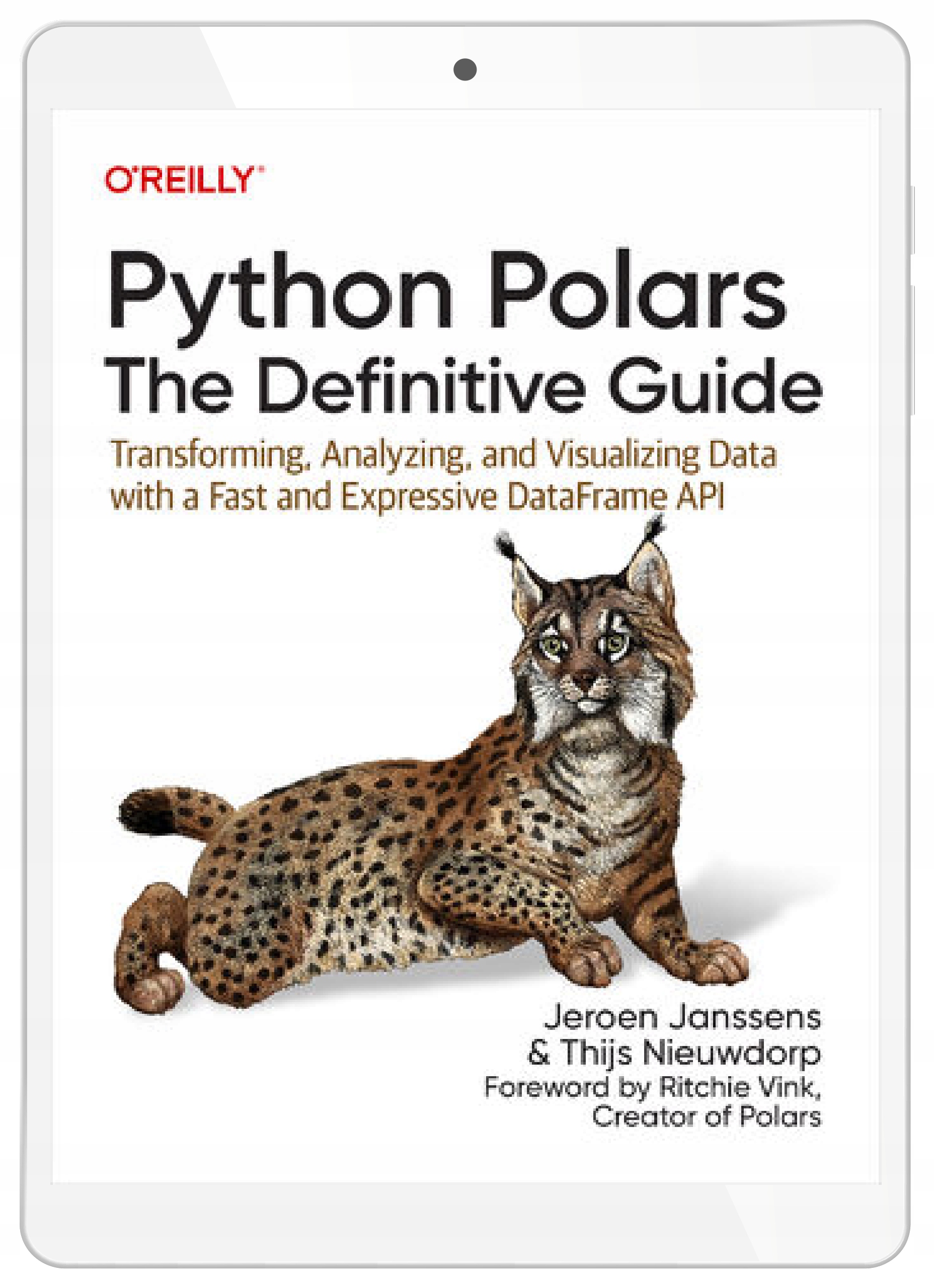 Python Polars: The Definitive Guide