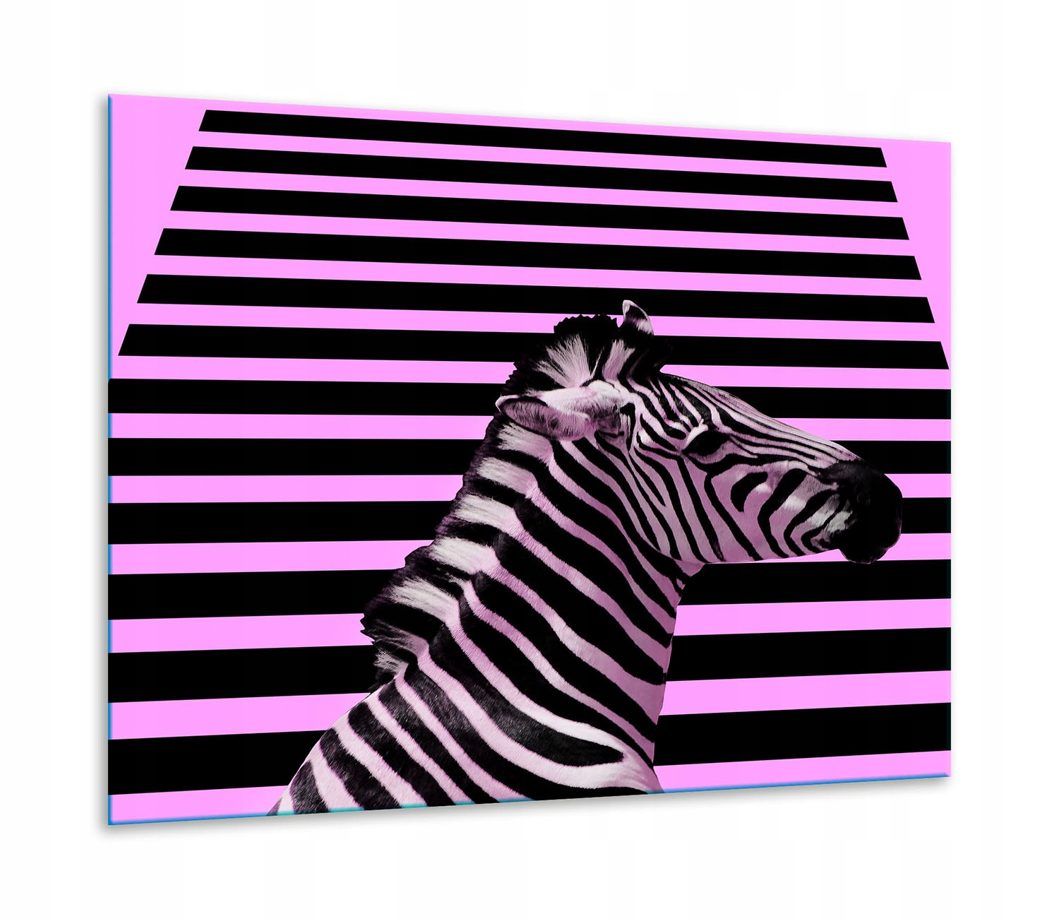 7v1 Skleněná Ochranná Deska Na Sporák 60x52 Zebra