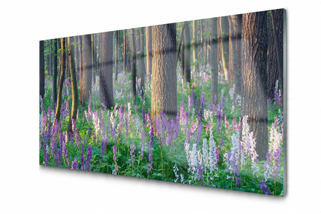 

Panel szklany dekoracyjny Las Natura 100x50