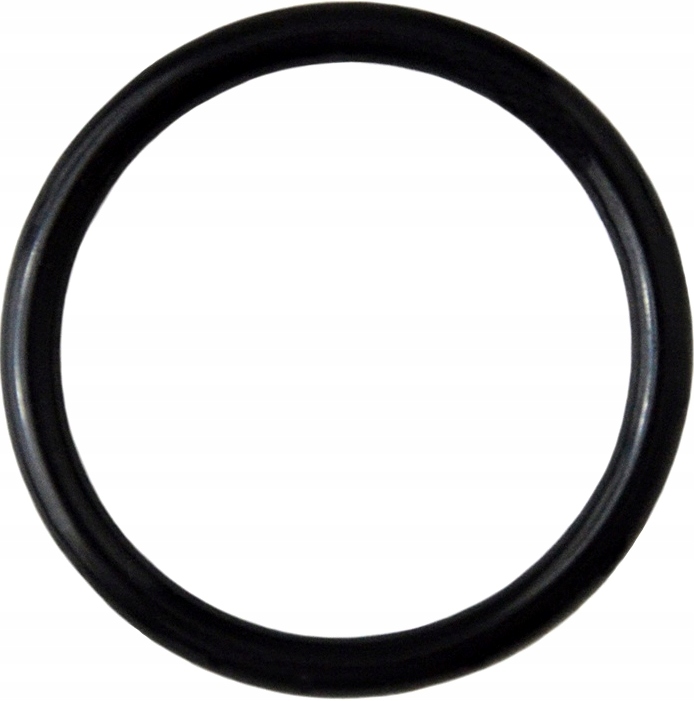 

Uszczelka Zaworu 30mm Hagen Fluval FX4 FX5 FX6