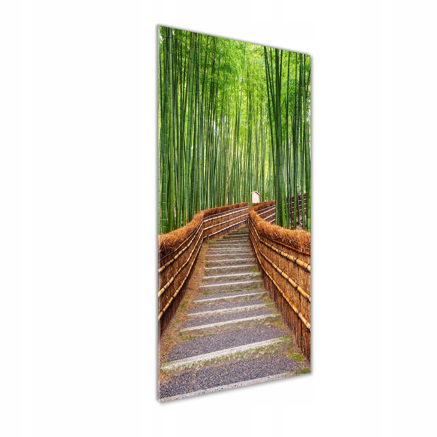 

Foto obraz szkło hartowane Las bambusowy 50x125 cm