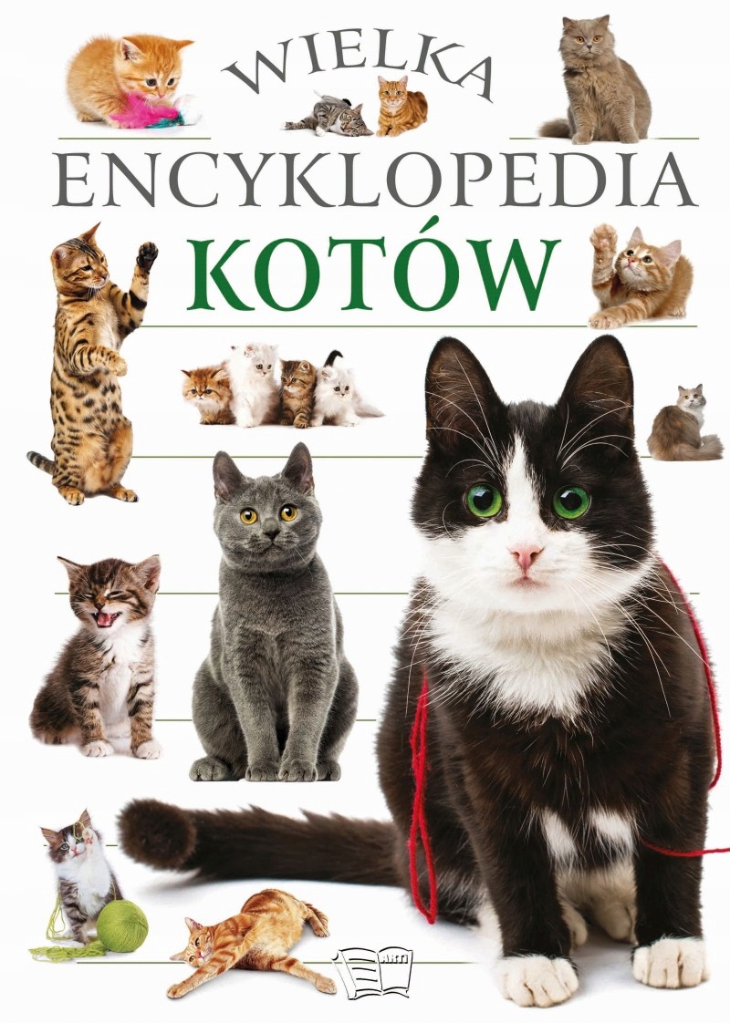 

Mój Kot Encyklopedia Dla Dzieci niezbędny poradnik