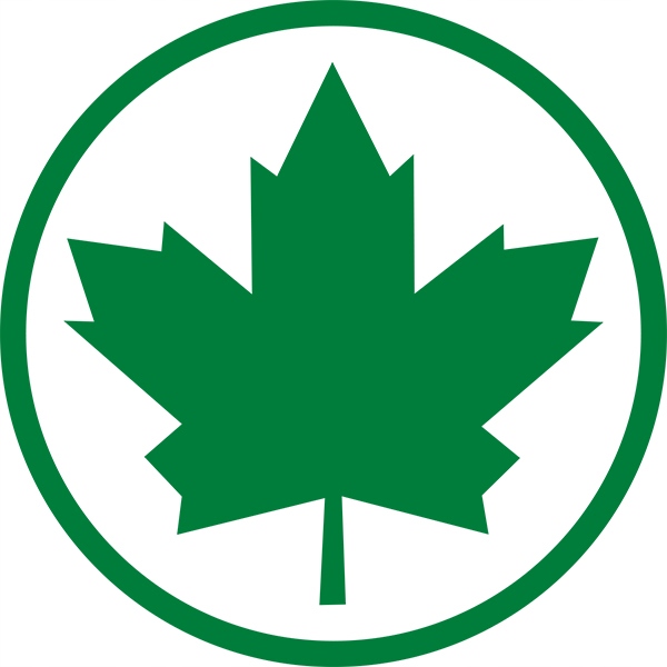 ZIELONY LISTEK Naklejka POCZĄTKUJĄCY MŁODY KIEROWCA LIŚĆ KLONU 11cm