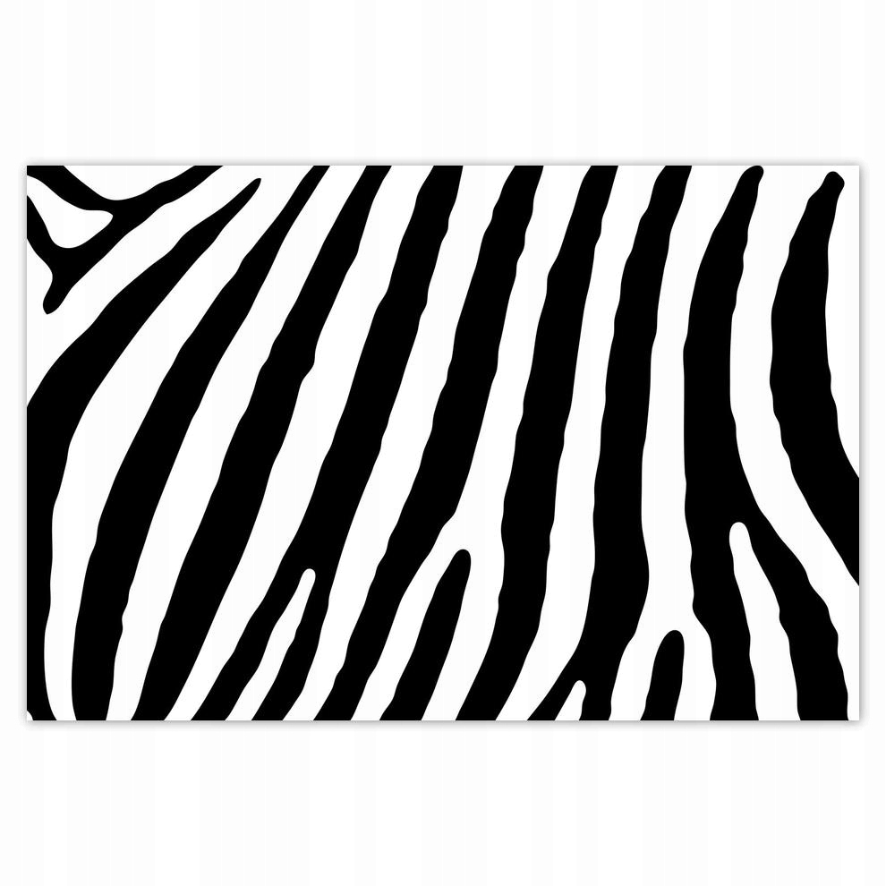 

Plakat 60x40 Zebra Paski