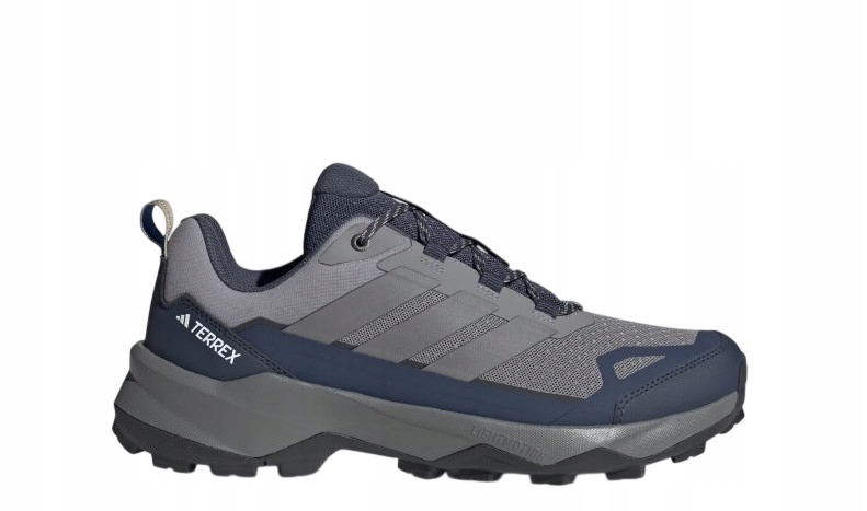 Buty Adidas Terrex Skychaser AX5
