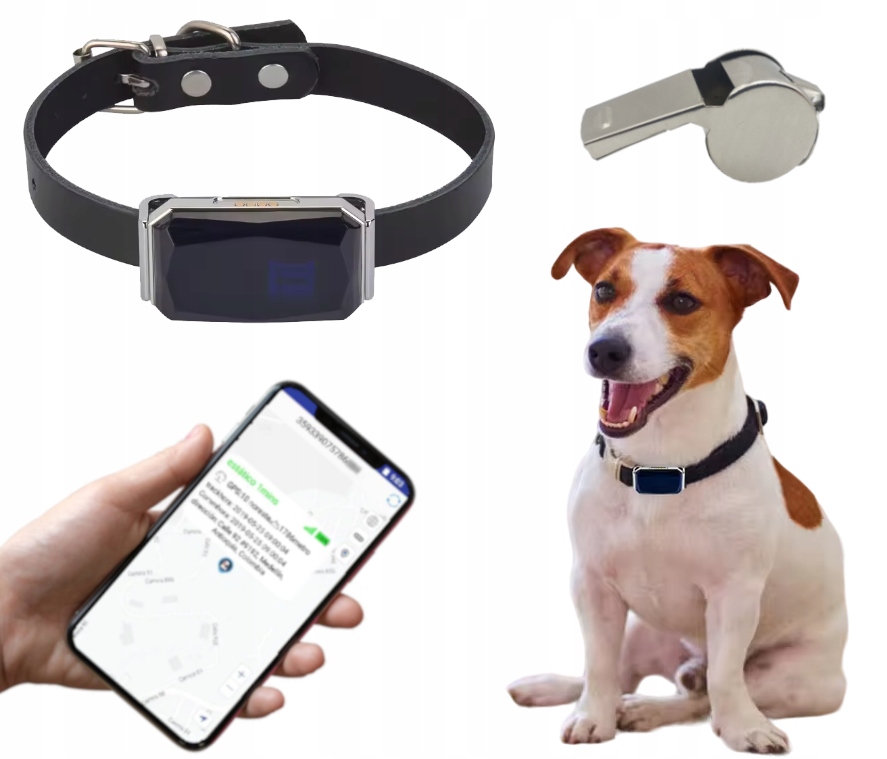 Levně Gps lokátor pro psa kočku obojek