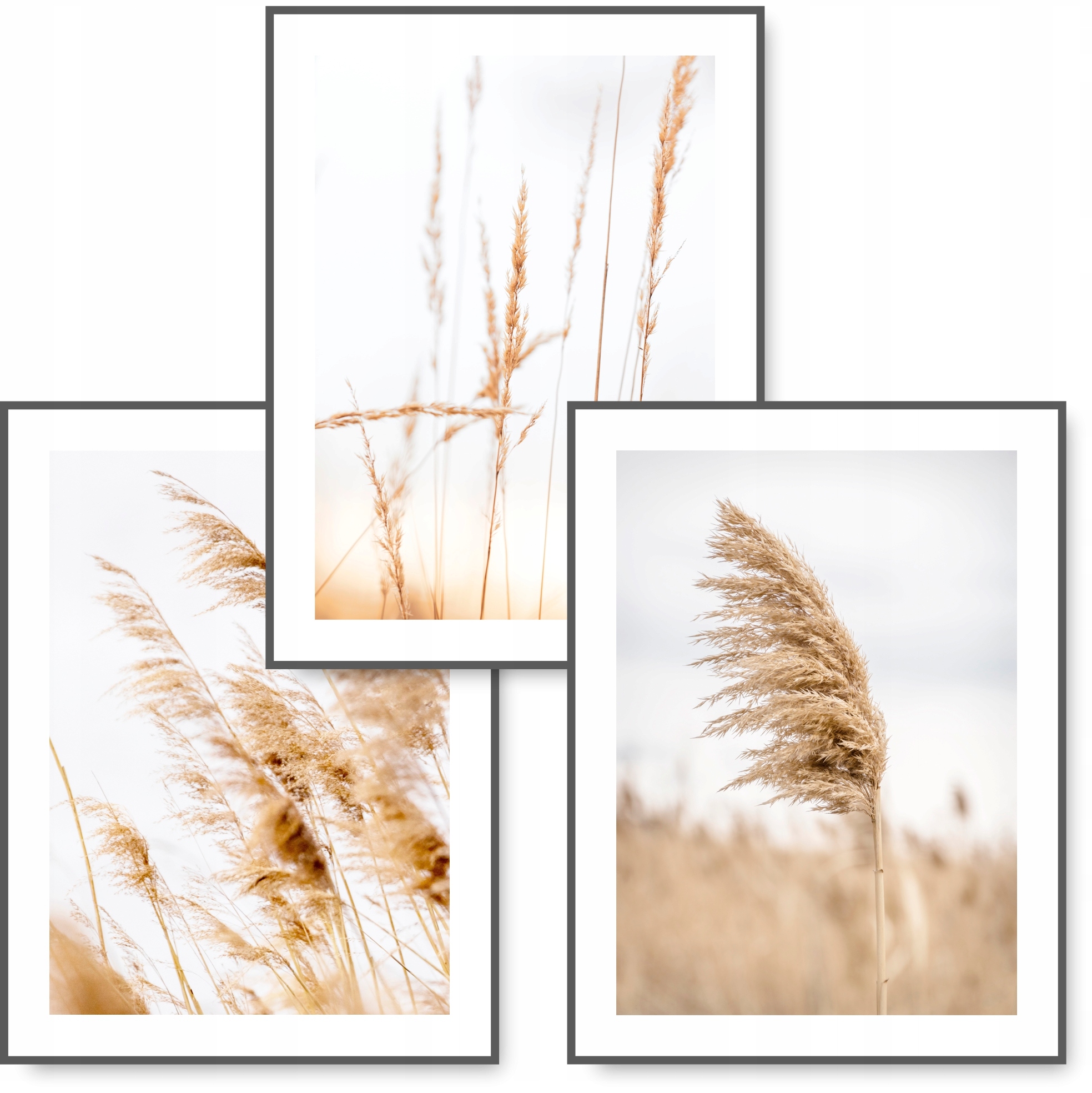 

Boho zestaw 3 obrazy 30x40 Sucha Trawa plakat #18