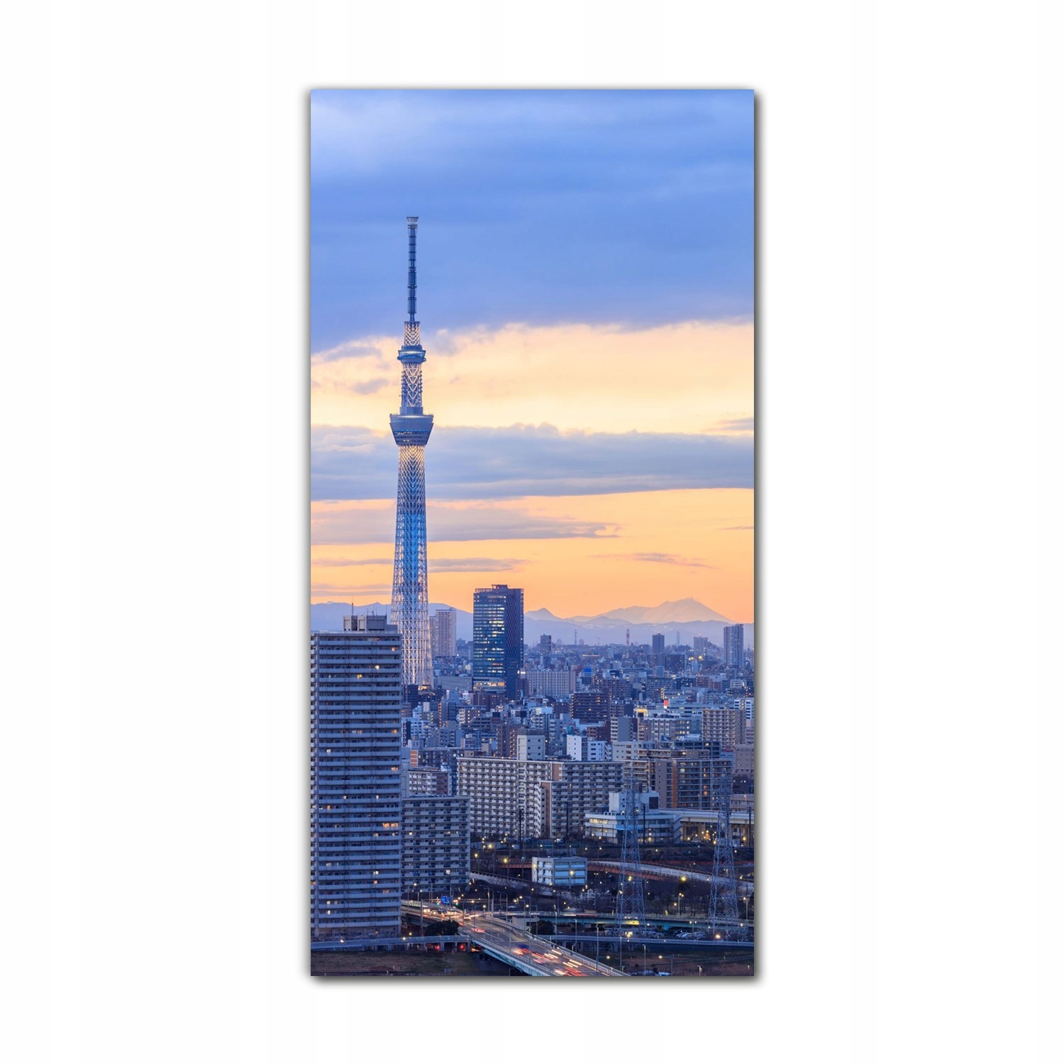 

Foto-obraz na szkle na ścianę 70x140 Miasto Tokio