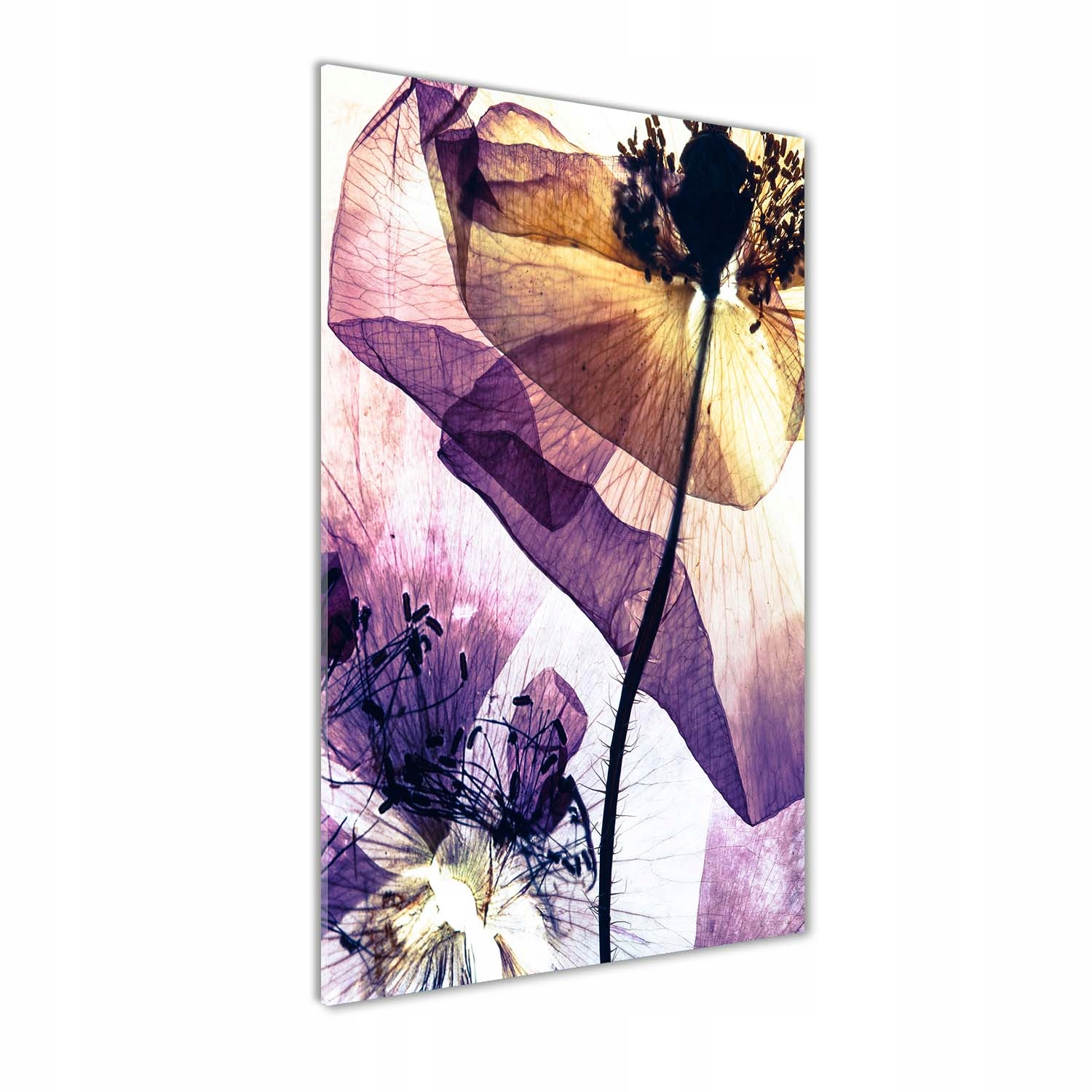 

Nowoczesny obraz zdjęcie na akrylu Maki 70x140cm