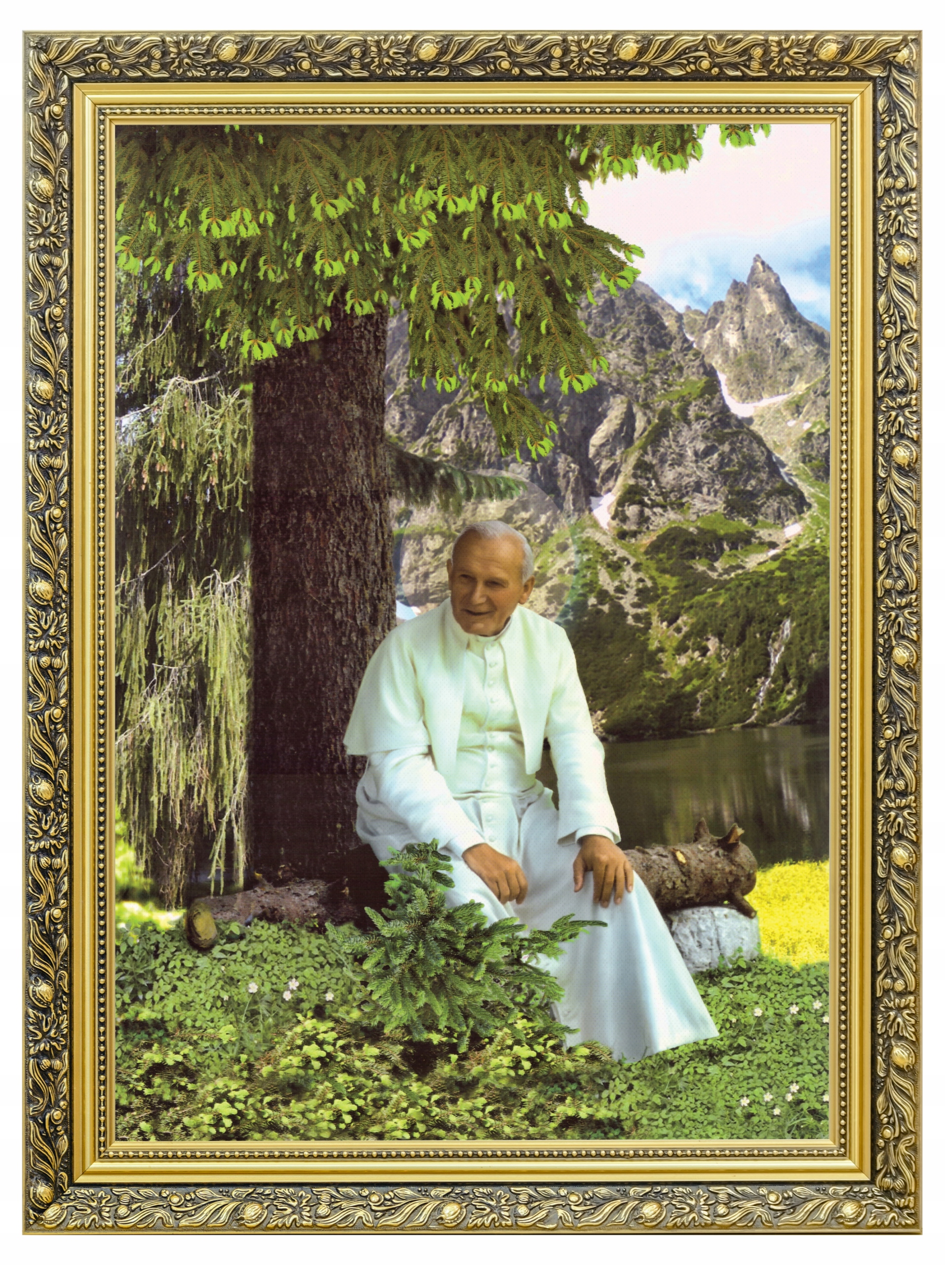 Svatý Jan Pavel 2 V Lese Obraz Na Plátně Zdobený Rám 60x80