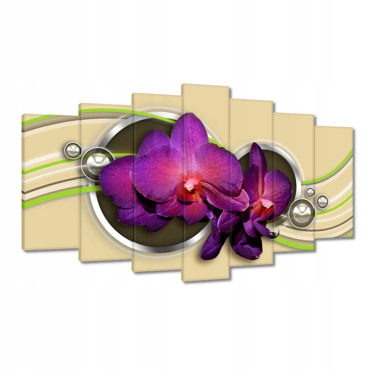 Obrazy 140x80 Orchideje