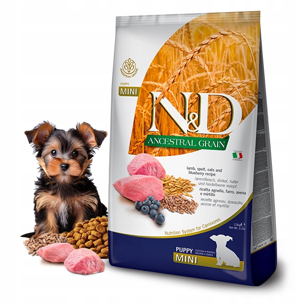 Nd Ancestral Lamb Bluberry Puppy Mini 7kg karma sucha dla szczeniąt