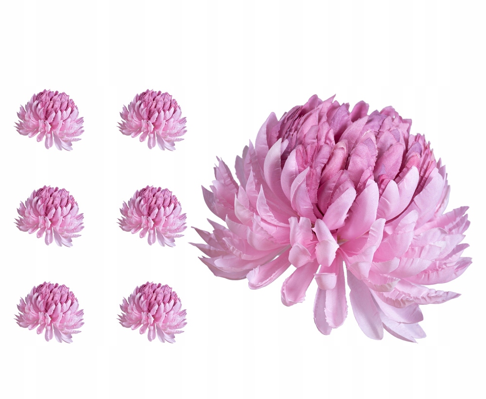 

Chryzantema ananas różowa 6 sztuk do wiązanek