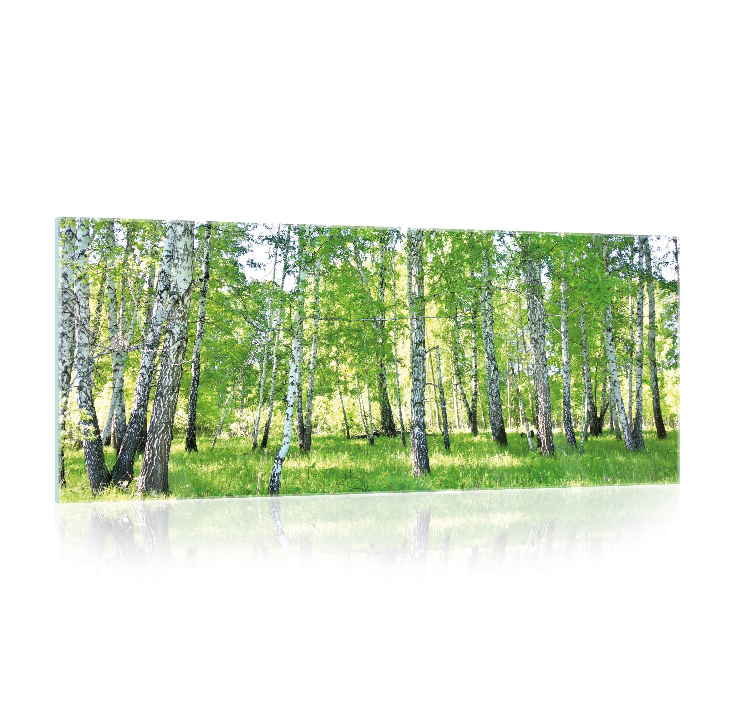 Obraz na skle do kuchyne Brezový les 125x50