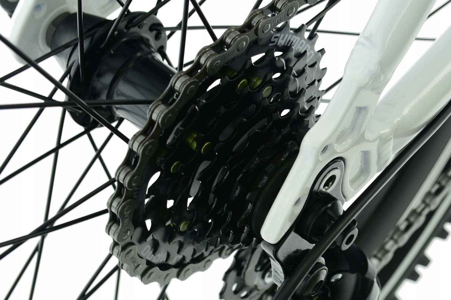 Rower Kands 24 Dragon r13