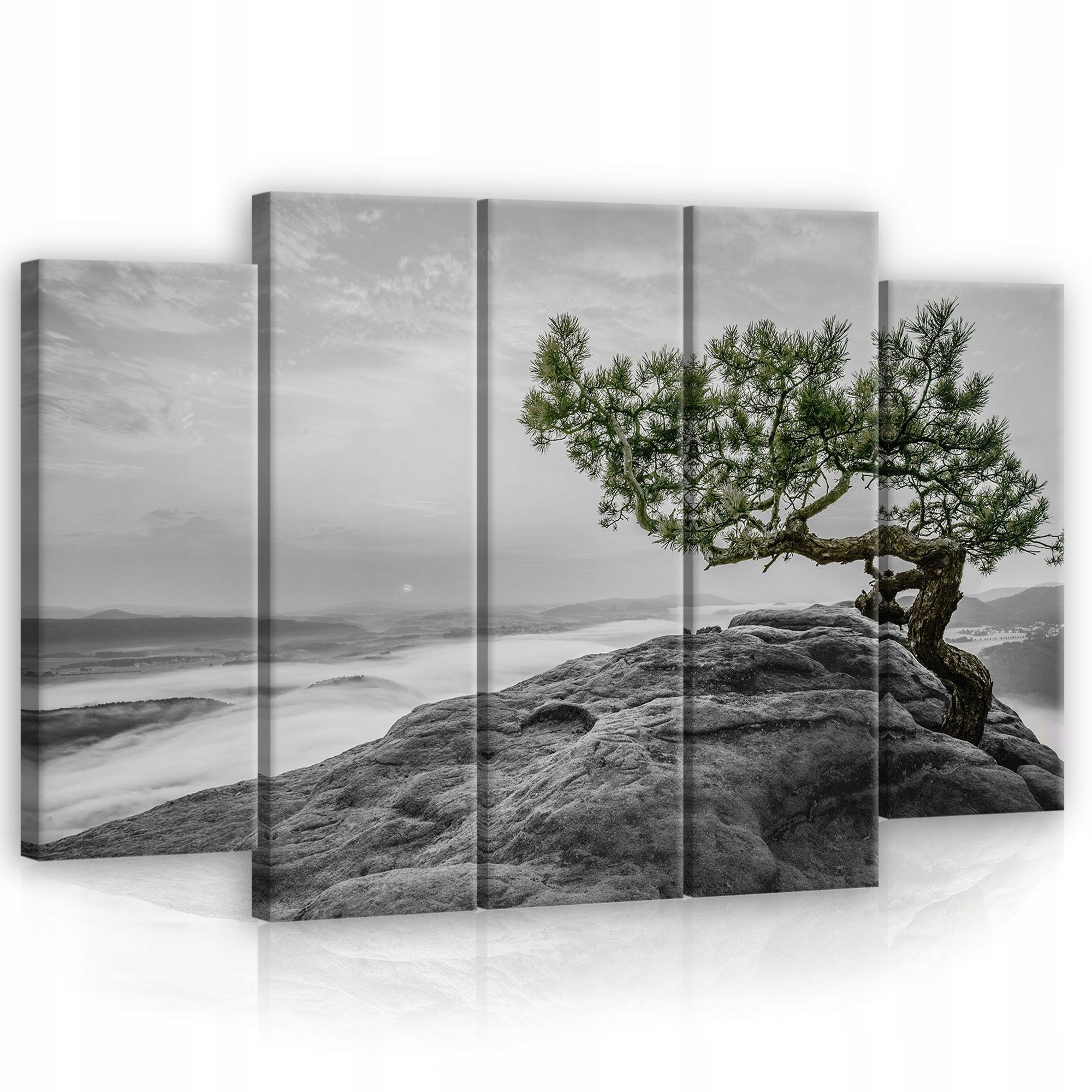 Obraz 150x100 Horská krajina hmla úsvit borovica osamelosť príroda pokoj