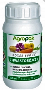 

Boxer 800EC 250ml na Chwasty w Warzywach ziemniak