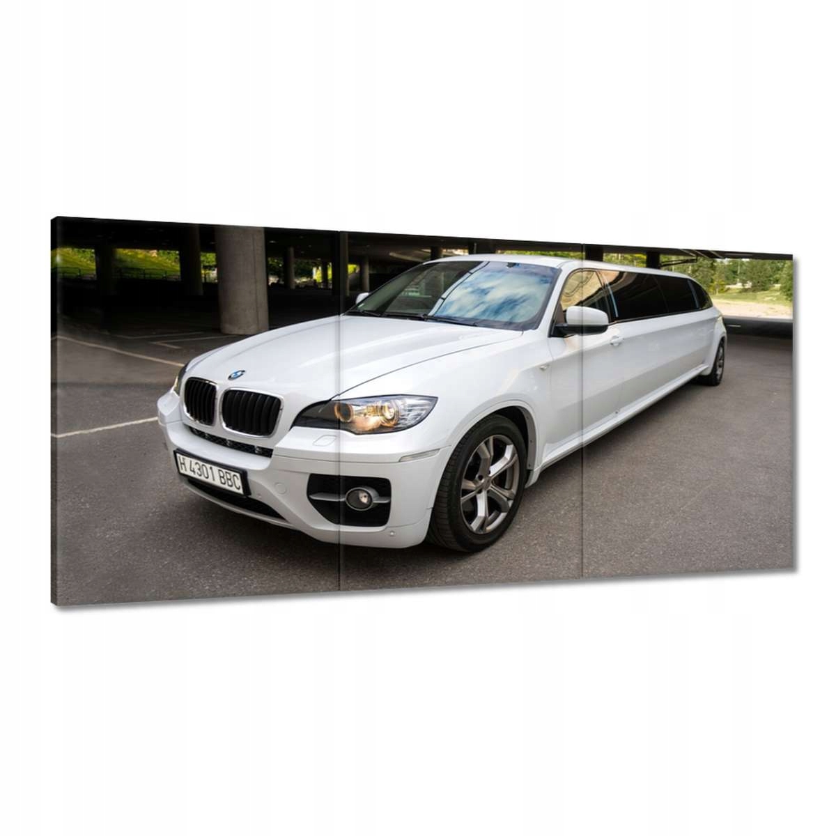 Obrazy 180x90 Bmw X6 Limuzína