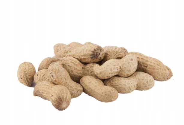 Levně Arašídy – arašídy ve skořápce 5 kg