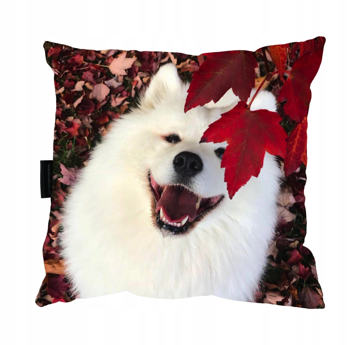 

Poduszka z Psem Samoyedem samoyed samojed