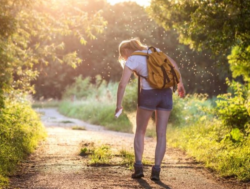 Bros Muchospray Spray na Muchy i Komary 400ml Producent Bros