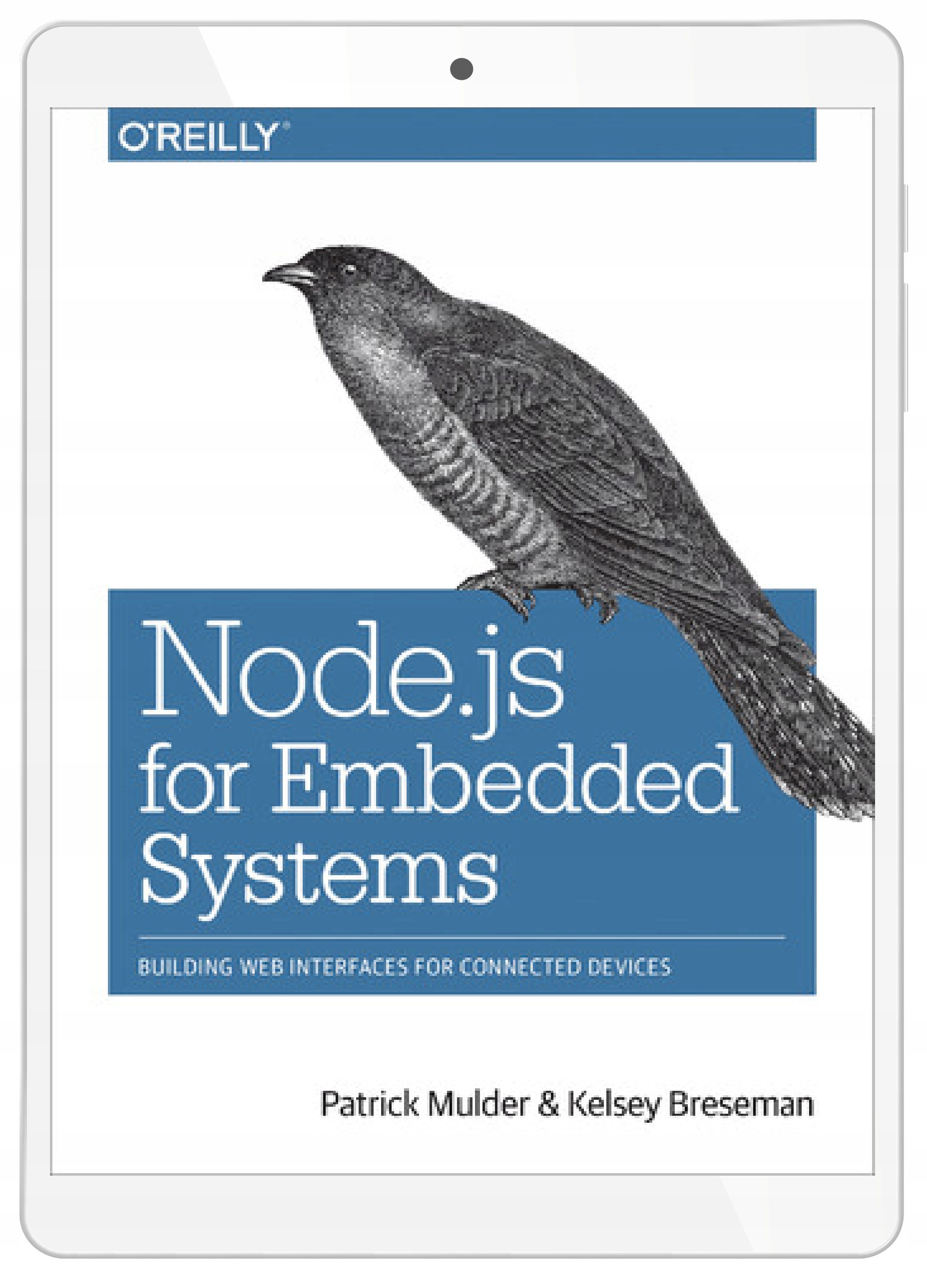 Node.js for Embedded Systems. Using Web