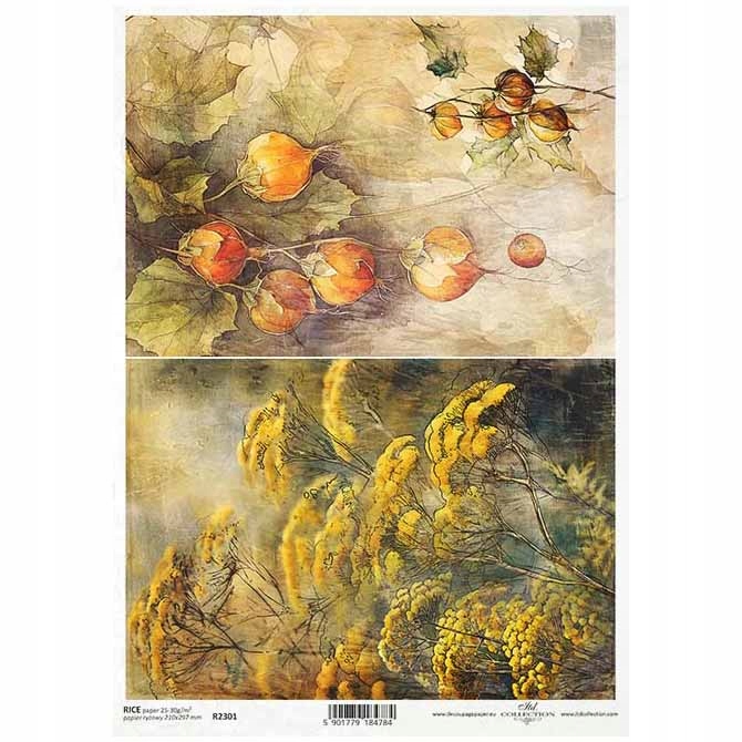 Papier Ryżowy do decoupage A4 R2301 rośliny jesień